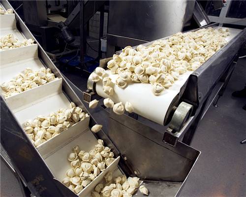 食品用輸送帶廠家，送餃子用哪種輸送帶更好