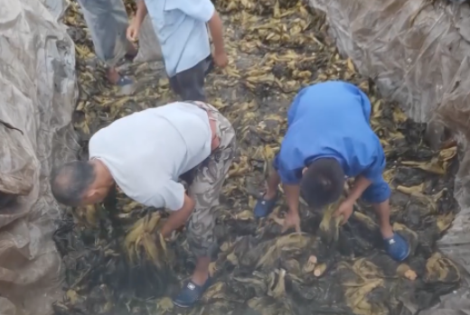 食品輸送帶：“土坑酸菜”11家企業(yè)復工，消費者還買單嗎