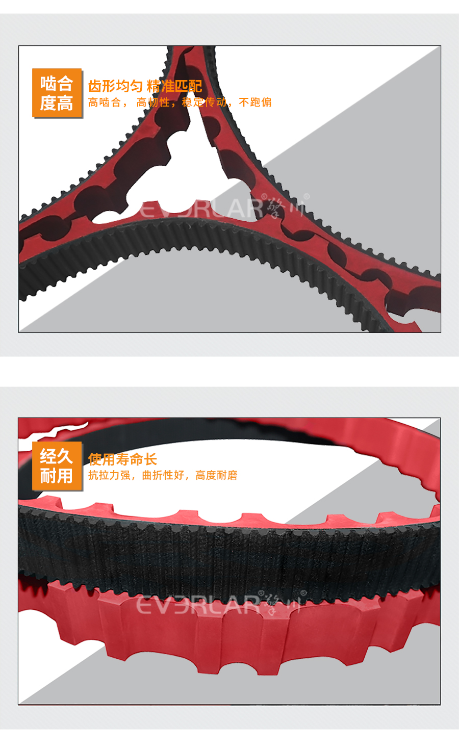 1665557088948617.jpg 同步帶pu模板_07.jpg