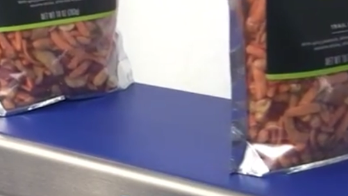 1770177006956365.jpg 藍色PU輸送帶輸送.jpg